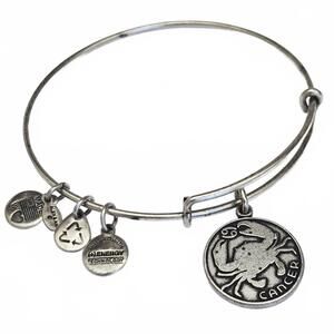Alex and Ani Zodiac Cancer Charm Expandable Bangle Bracelet 2013 Silver Tone